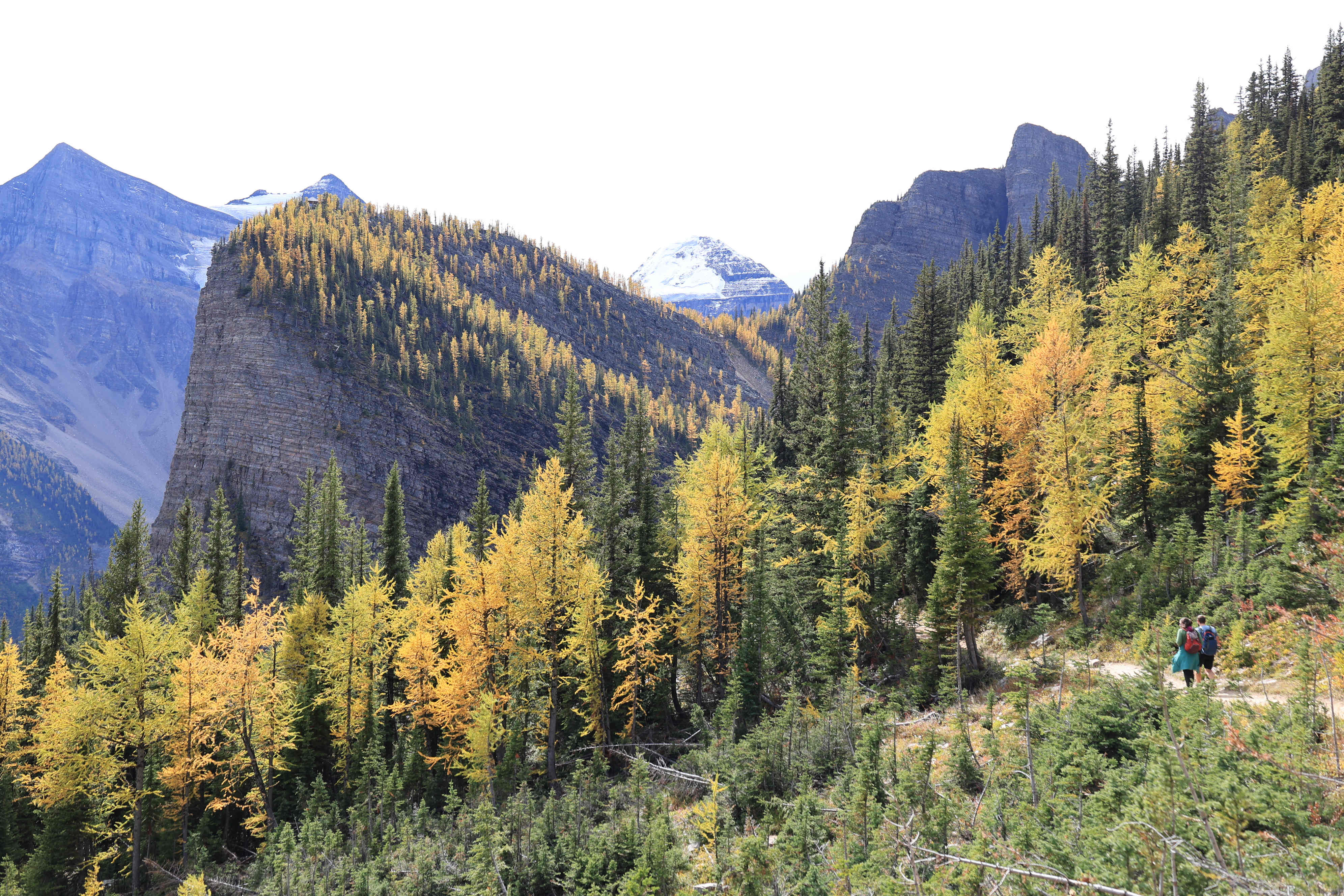 Lake Louise